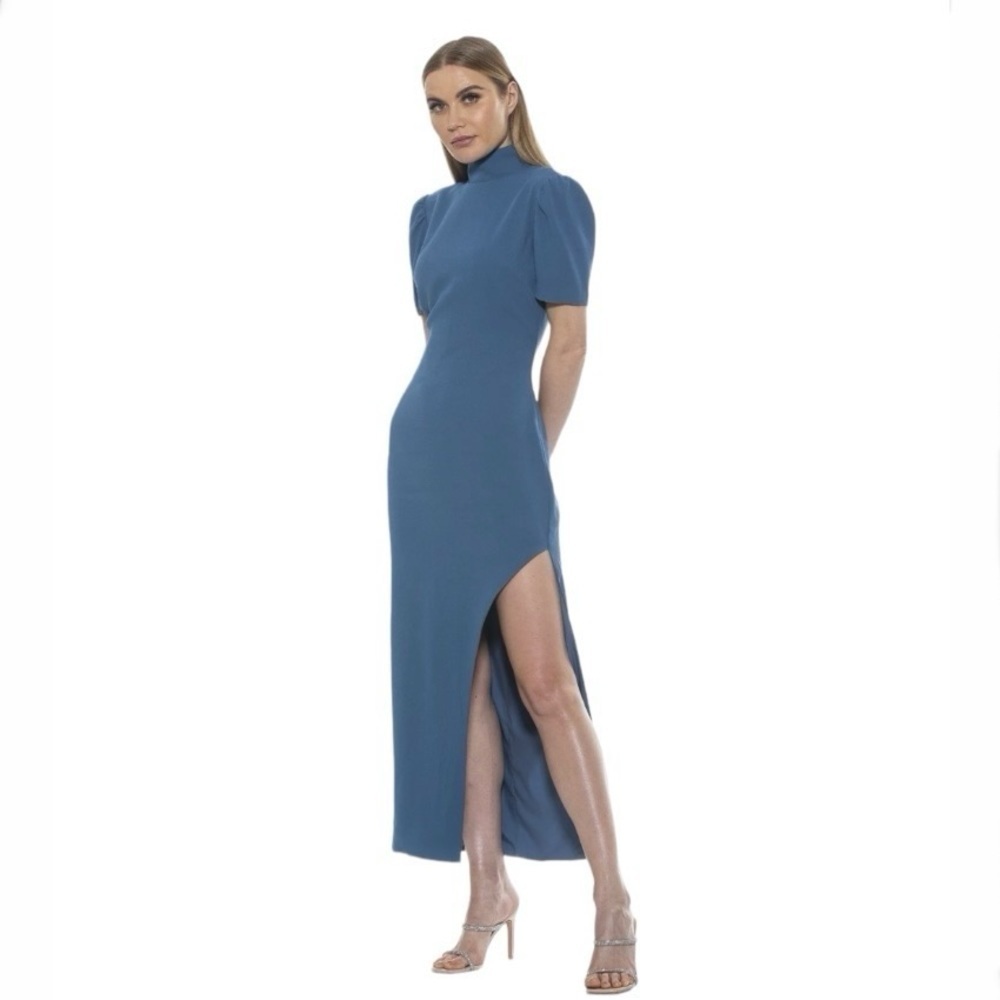 Alexa Admor Dixie Mock Neck Womens Maxi Dress  Size 10  Color Blue   NEW